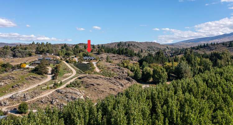 376c Earnscleugh Road Alexandra_4