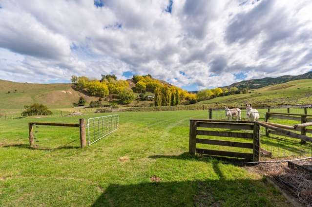 564 Seafield Road Puketapu_1