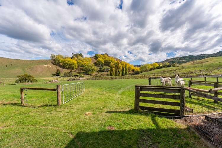 564 Seafield Road Puketapu_1