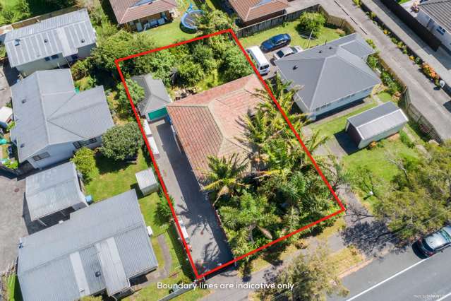 49 Riversdale Road Avondale_3