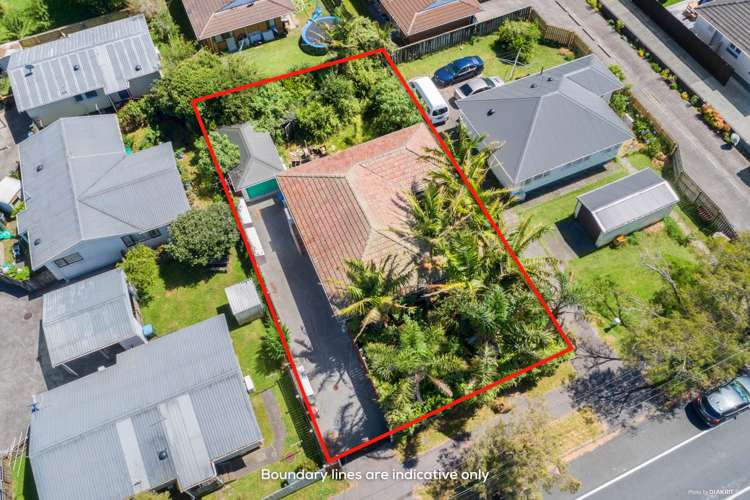 49 Riversdale Road Avondale_3