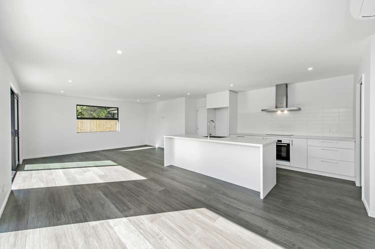 45 Collisson Street Leeston_12