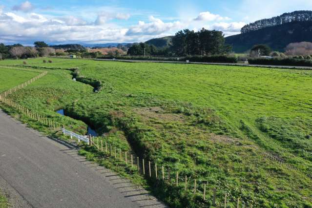 22 Pahiatua Pongaroa Road (Lots 2 - 4) Pahiatua_4