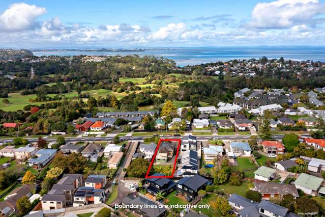 47 Golf Road New Lynn_2