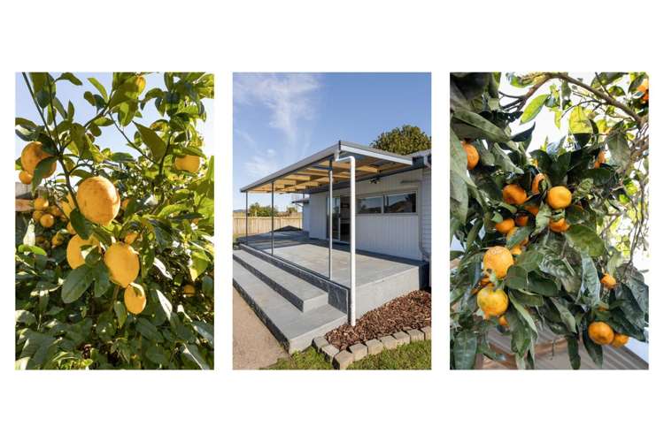 62 Arawa Road Whakatane_2