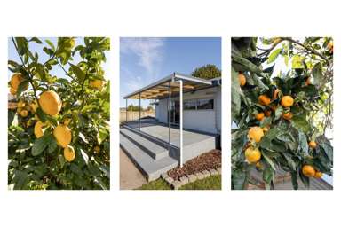 62 Arawa Road_2