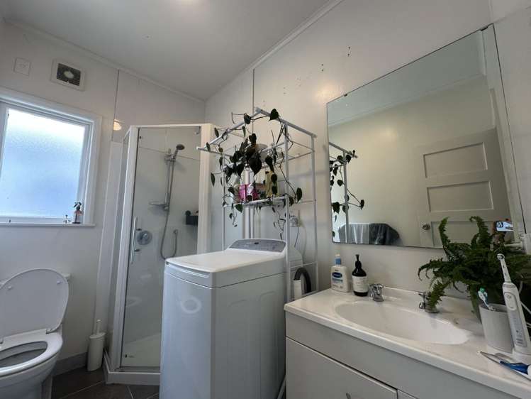 2/131 Williamson Avenue Grey Lynn_7