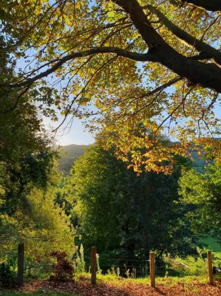 1034 Braemar Road Rotoma_13