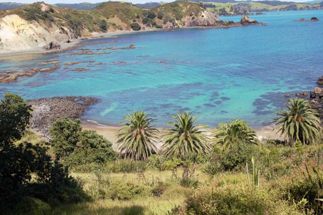 Motuekaiti Island Kaeo_3