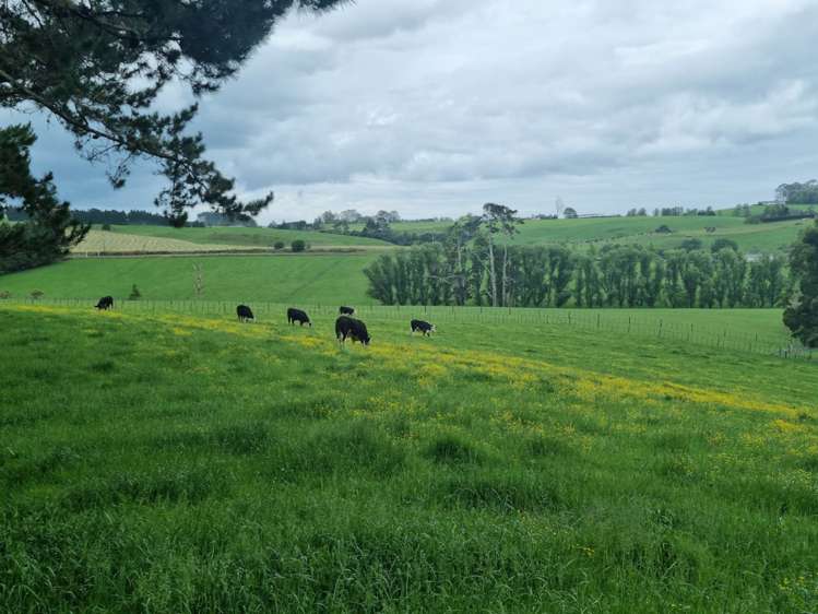 280 Old Bay Road Pakaraka_19