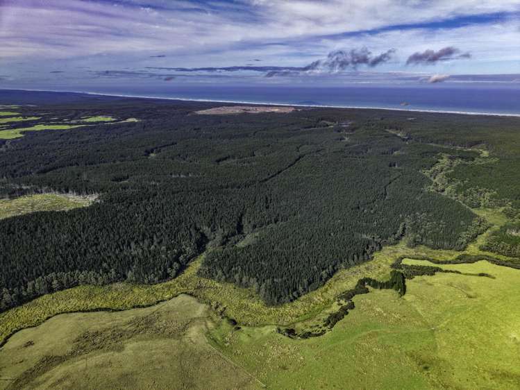 State Highway 1, Waitiki Landing Te Kao_13
