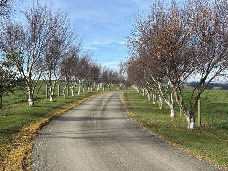 341 Airedale Road Weston_25