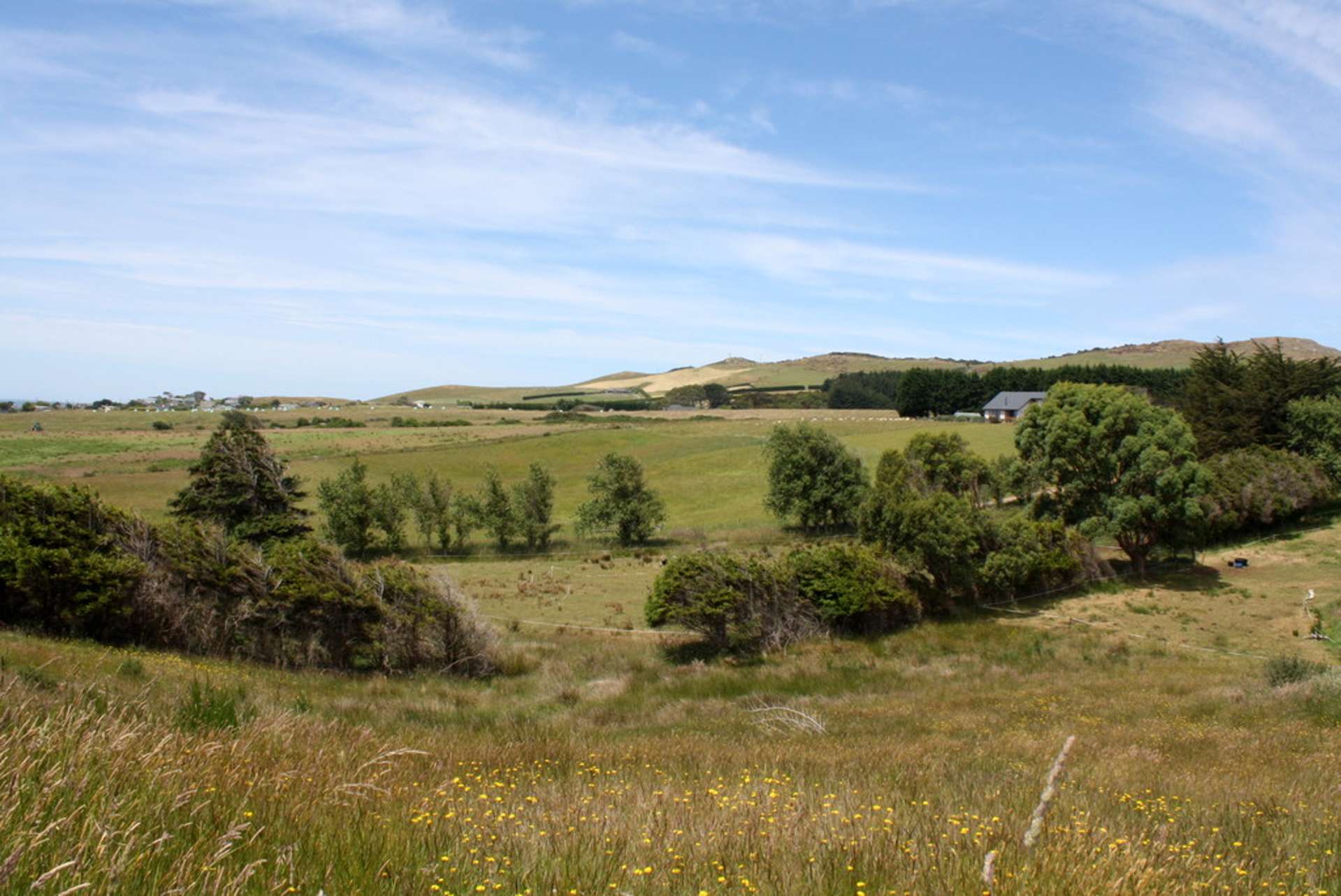 39 George Street Riverton_0