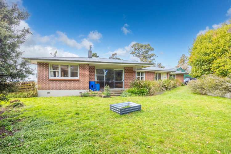 44 Lindsay Road Whatawhata_5