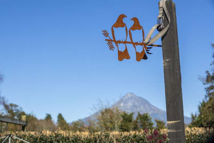 56 Maire Street Inglewood_23