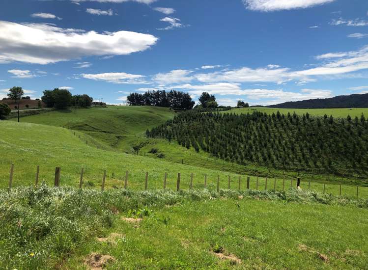 2364 Arapuni Road Pukeatua_16