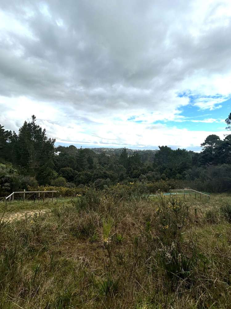 244 Albany Heights Road_1