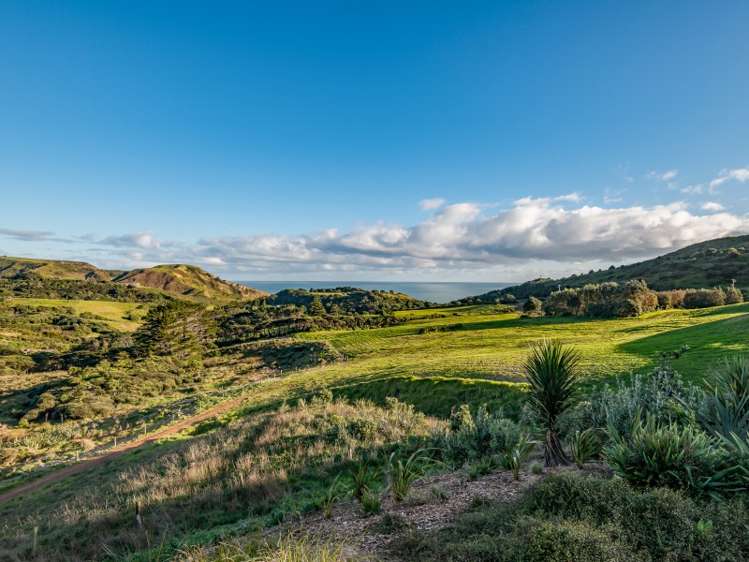 505 Oaia Road Muriwai_22