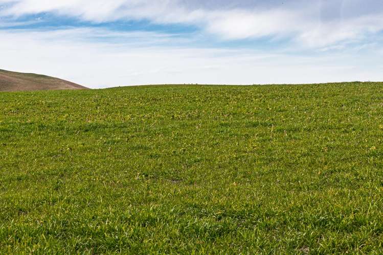 203 Robinson Road Cave_12