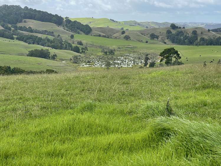 426 Mangarata Block Road Arapohue_15