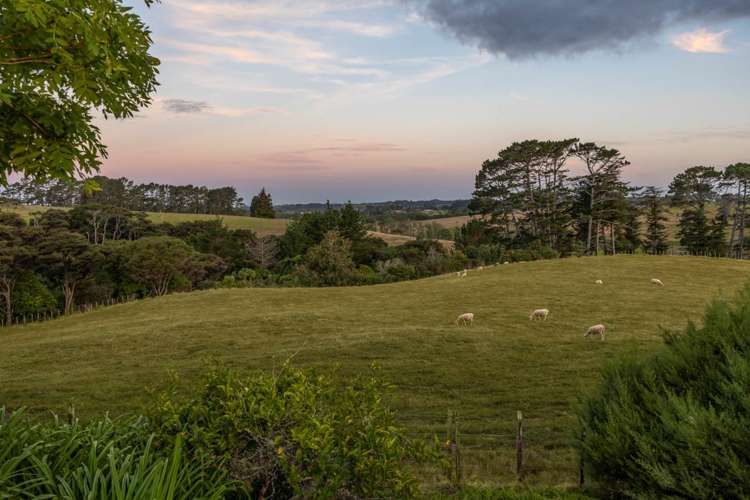 41 Annandale Road Kumeu_49