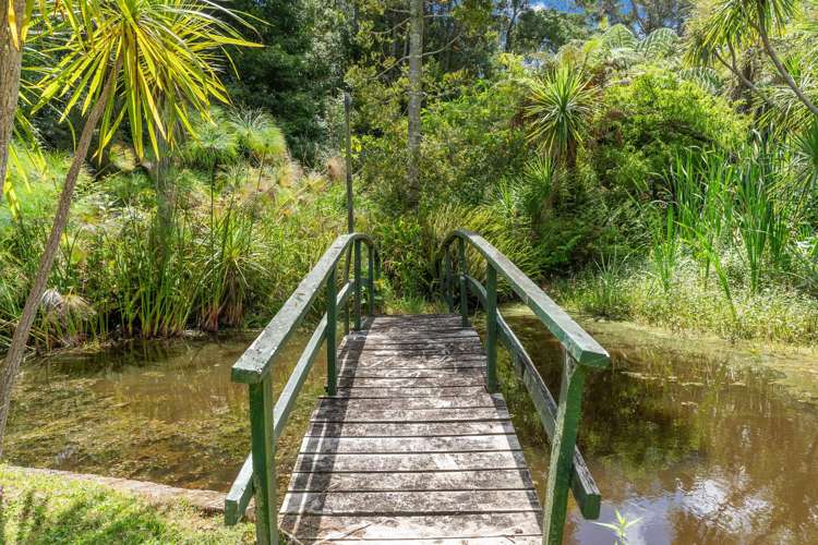146A Hokianga Road Dargaville_15