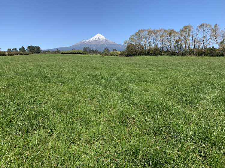 2442 Mountain Road Tariki_16