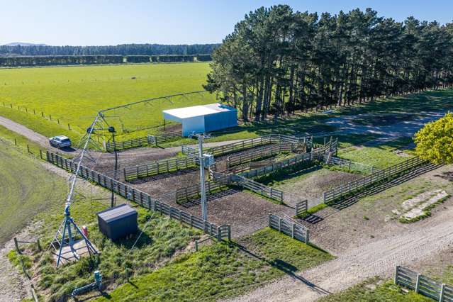 1492 Happy Valley Road Motunau_4