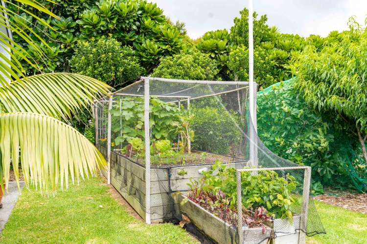 9 Park Avenue Mangawhai Heads_14