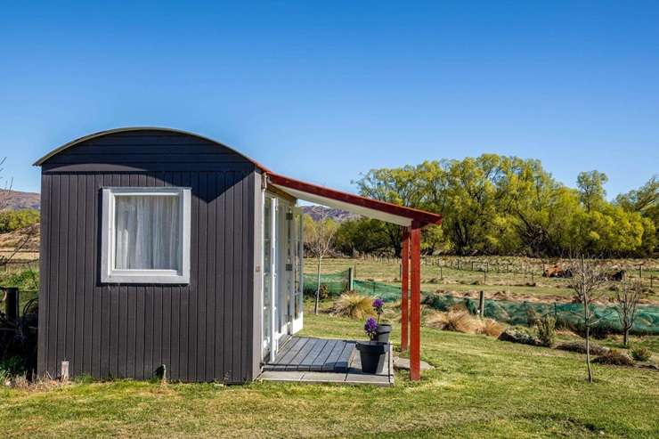 Retired District Court judge Rosemary Riddell is selling 3377 and 3379 Ida Valley-Omakau Road, in Oturehua, Central Otago. Photo / Supplied
