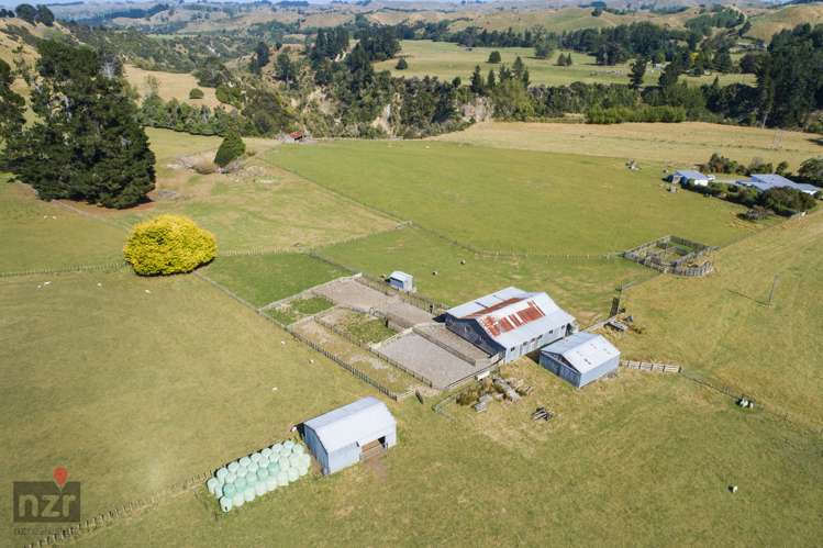 3769 Pohangina Valley East Road Apiti_11