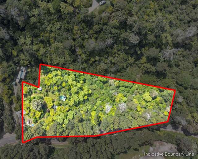 Ohiwa Loop Road Waiotahi_1