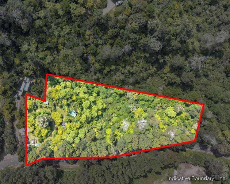 Ohiwa Loop Road Waiotahi_1