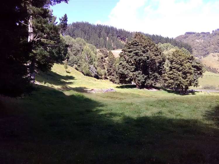 453 Kururau Road Taumarunui_11