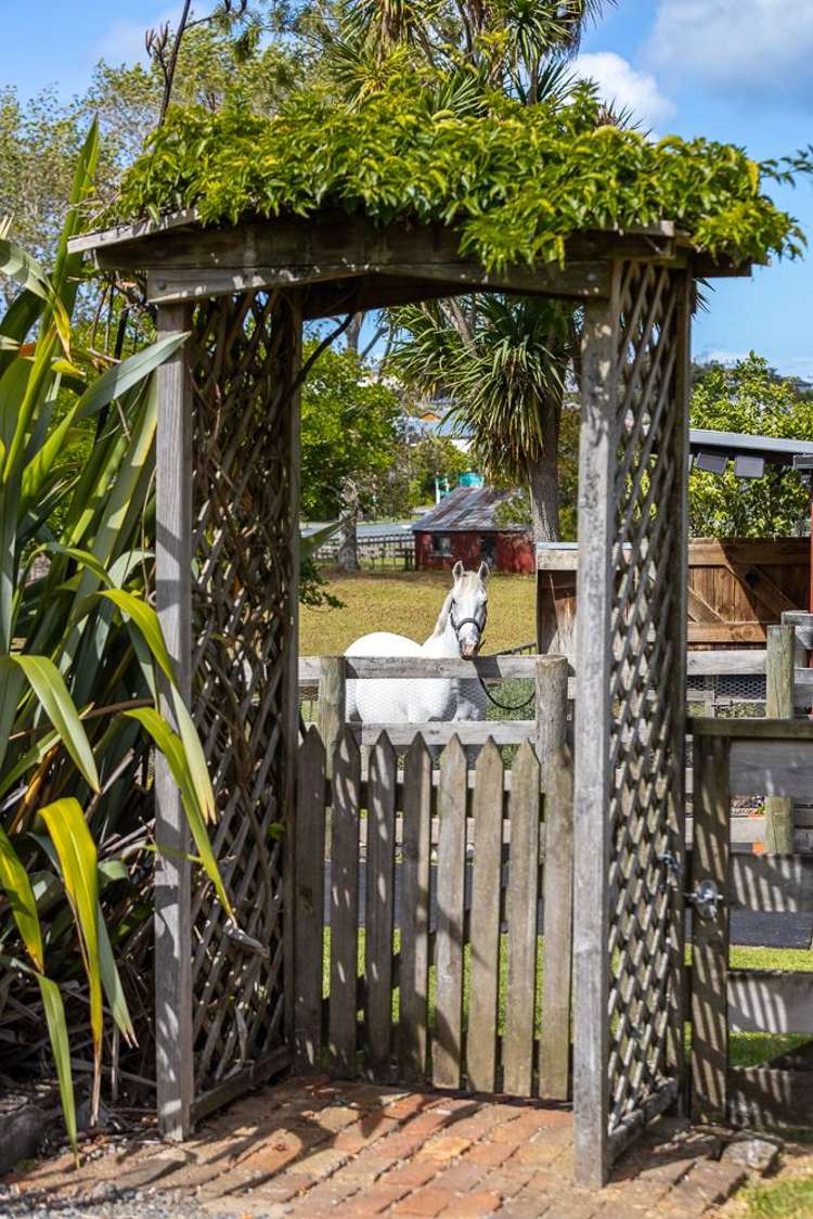 124 Mahurangi East Road Snells Beach_32