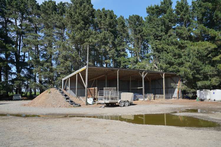 319 Mitchells Road Bankside_20