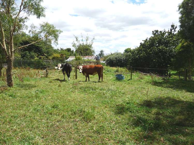 16 Ngatira Road Lichfield_19