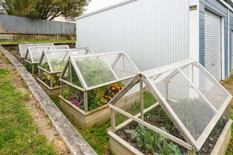 52 Hendersons Line Marton_25