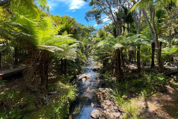 119 Seaview Road Piha_26