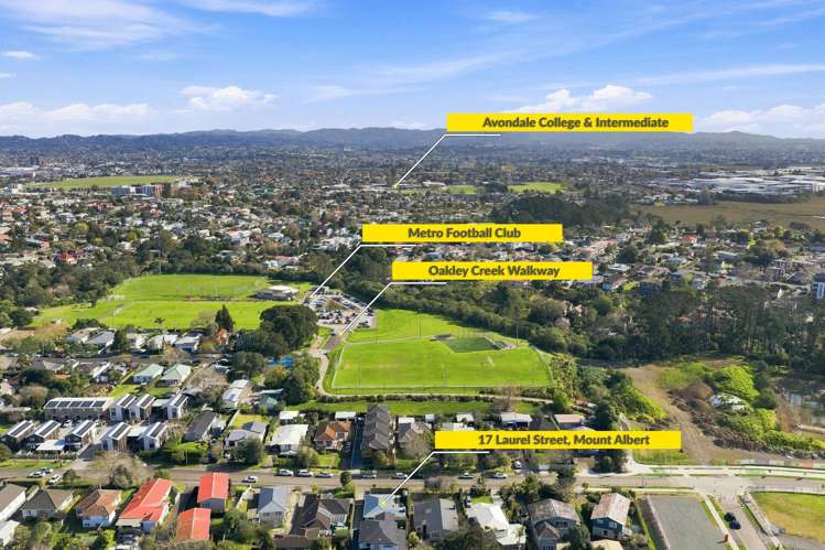 17 Laurel Street Mount Albert_25