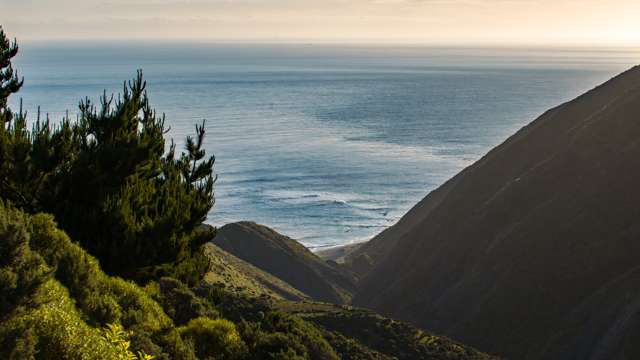 510 Southernthread Road Brooklyn_3