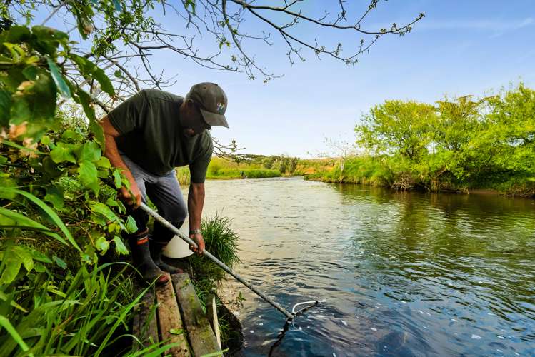 219 Brown Road Waitara_21