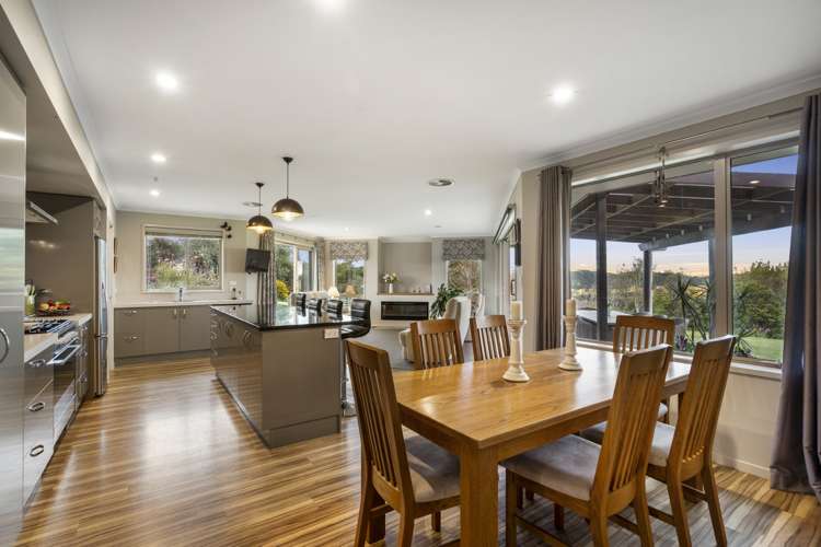 122d Forestry Road Waitoki_15