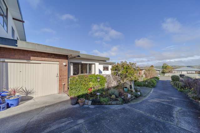 11a Goodger Street Waipukurau and Surrounds_1