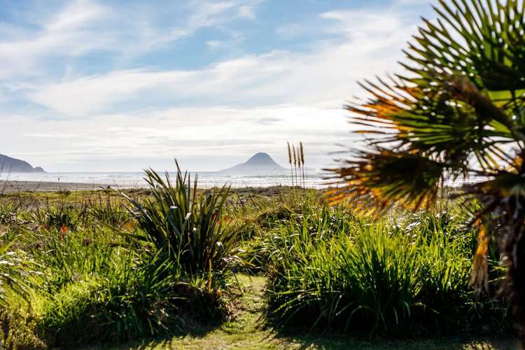 257A Pohutukawa Avenue Ohope_29