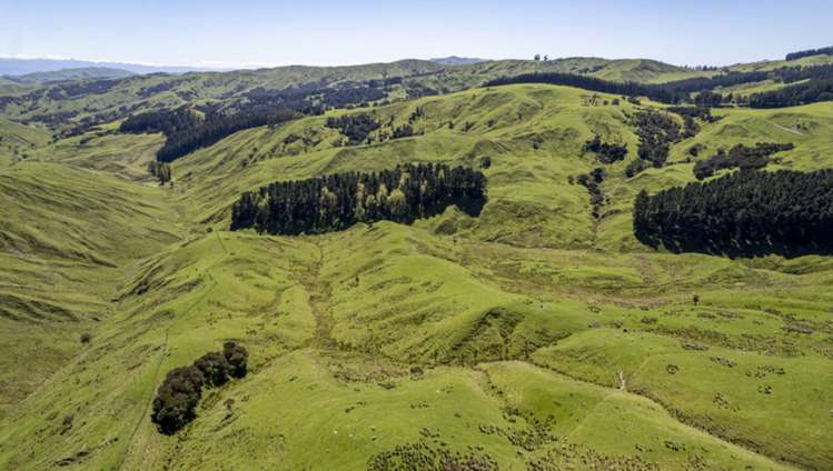 7 Hikawera Road Hinakura_19