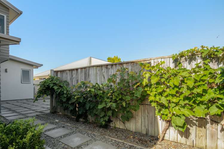 93 Redwood Street Redwoodtown_20