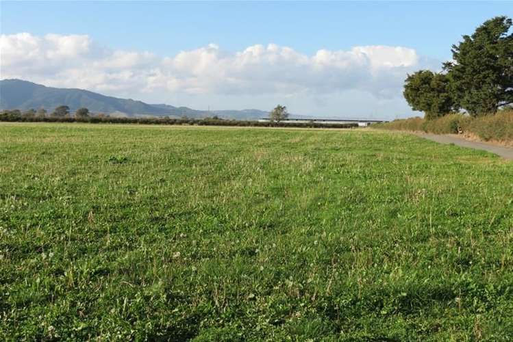 1532 Orini Road Orini_9