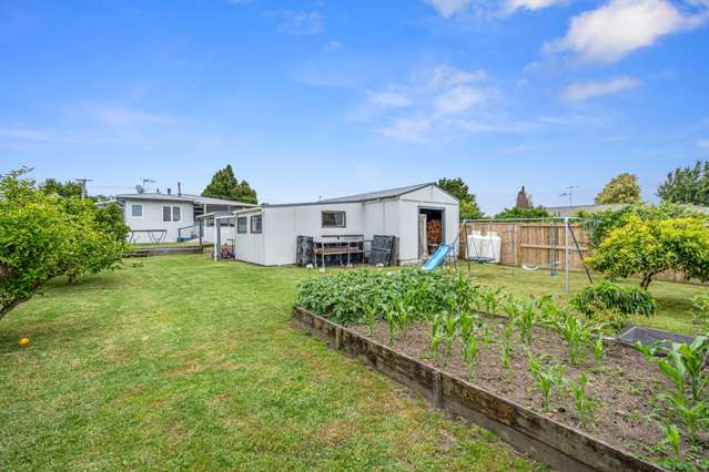 114 Cameron Road Te Puke_2