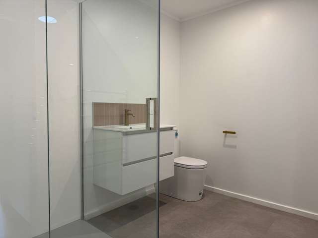 9D Lincoln Avenue Tawa_4